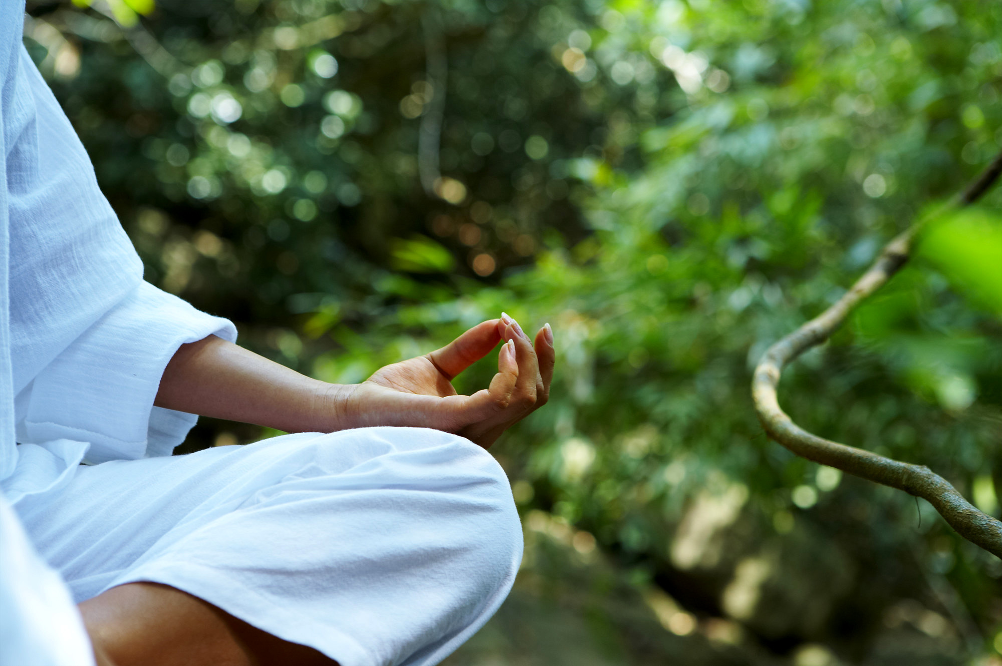 Zum Artikel "Qi Gong- eine Methode zur Entspannung von Körper und Geist"